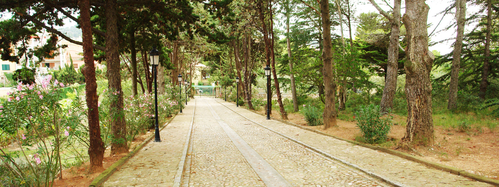 Entrada a la finca Los Cedros